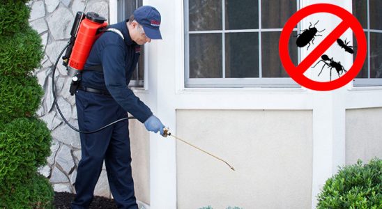 Gökçeada Tahtakurusu İlaçlama böcek ilaçlama ve haşere kontrolü — ilaclama-tr.com